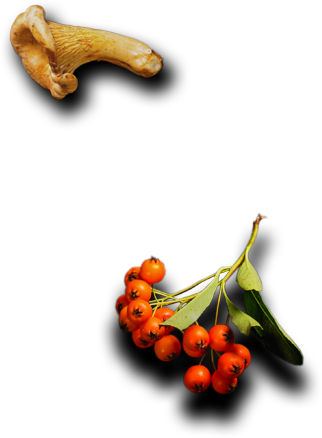 Royal Plate - Restaurant & Catering HTML Template